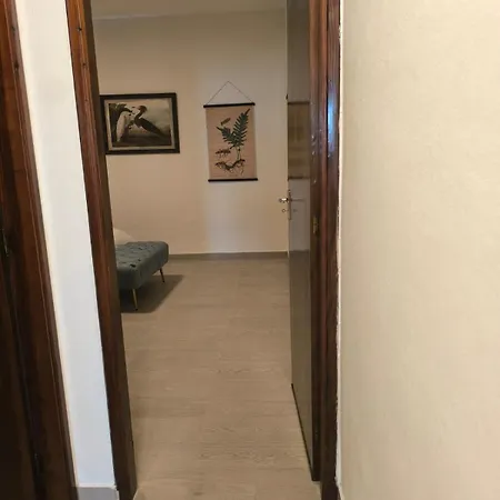Alisios *